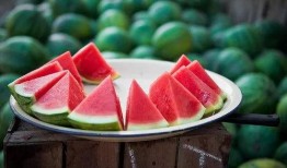 吃瓜群众的手工作品图片,揭秘吃瓜群众的手工艺术杰作