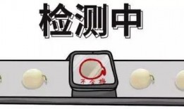 吃瓜群众的解决方法,轻松应对生活琐事