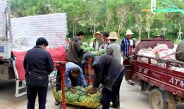 吃瓜群众岱岱 诸暨帮,诸暨帮的崛起与影响