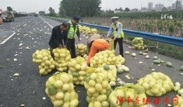 阳西吃瓜群众,揭秘当地热点事件背后的真相