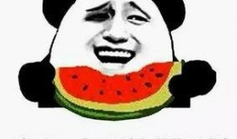 大批吃瓜群众怎么说话的,网络热议背后的语言现象