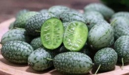 吃瓜群众指的是什么瓜,网络时代下的围观文化现象