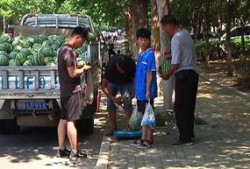 吃瓜群众团结大街,吃瓜群众的热闹聚集地