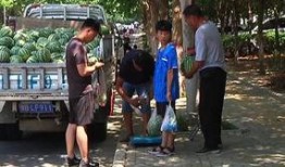 吃瓜群众团结大街,吃瓜群众的热闹聚集地