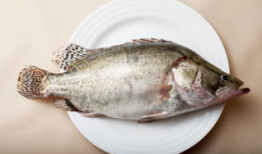 八瓜鱼 吃视频,探寻海洋美味之旅