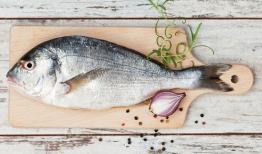 八瓜鱼 吃视频,探寻海洋美味之旅