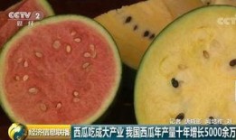 中国网友专业吃瓜群众,中国网友专业吃瓜群众众生相