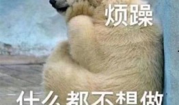 骂吃瓜群众的图片,网络舆论场中的“看客”现象解析