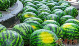 三校吃瓜,吃瓜群众揭秘校园秘闻