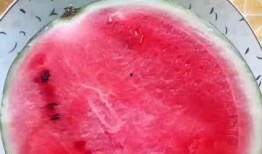 吃瓜群众如何正确吃瓜,如何成为理智的吃瓜群众