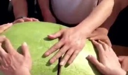 切问题吃瓜群众,切问题背后的真相揭秘