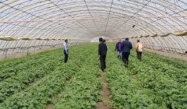 怎么做美丽的吃瓜群众,吃瓜群众如何修炼成美丽达人