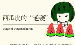 怀念夏天吃瓜群众的话,那些难忘的夏夜回忆