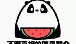 吃瓜群众专注看戏什么意思,吃瓜群众专注看戏