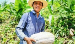 一个善良的吃瓜群众,善良吃瓜群众揭秘娱乐圈幕后真相