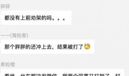 吃瓜群众演示视频大全集,趣味横生的社会百态缩影