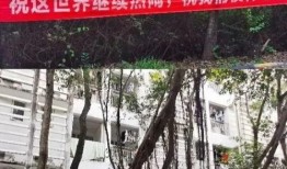 吃瓜群众有横条纹,揭秘网络热议背后的真相