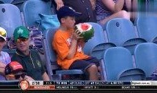 吃瓜群众如何吃瓜解说,揭秘吃瓜群众的趣味生活