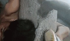 吃瓜群众搞笑gif,笑料横生瞬间捕捉