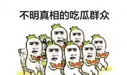 吃瓜群众和华为哪个好一点,谁才是科技界的佼佼者？”