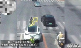 吃瓜群众红绿灯,交通规则的“绿色守护者”