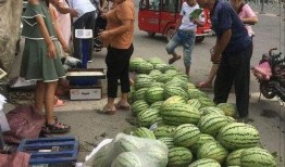 路边摊吃瓜群众,吃瓜群众的热议焦点