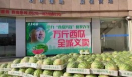 一个善良的吃瓜群众,善良吃瓜群众揭秘娱乐圈幕后真相