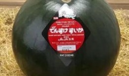 盘点专业吃瓜群众,专业吃瓜群众的趣味盘点之旅