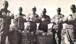 军坡吃瓜群众事件