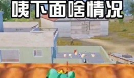 吃鸡吃瓜群众,揭秘游戏背后的社会现象