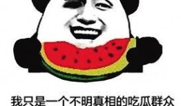 吃瓜群众会笑死么视频,场面笑翻全场