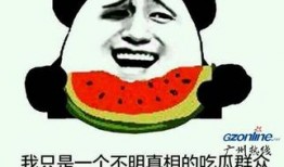 吃瓜群众瓜是真的吗,探寻网络谣言背后的真相