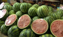 自由吃瓜基,揭秘网络时代的娱乐狂欢与理性思考