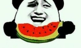 我只是个吃瓜群众免费阅读,我只是个吃瓜群众免费阅读之旅