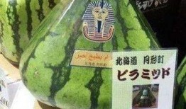 中国吃瓜群众文案,一场全民参与的文案盛宴