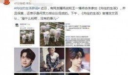 博肖和吃瓜群众,揭秘吃瓜群众背后的故事