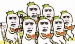 吃瓜群众黑脸流汗,揭秘幕后辛酸与真实情感