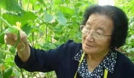 吃瓜群众邓小闲是谁,网络红人的崛起之路