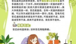 爱学习的吃瓜群众,揭秘学习与娱乐的完美融合