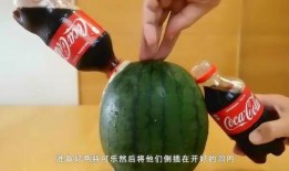 吃瓜群众菊花茶是真的吗,吃瓜群众热议的菊花茶，真相究竟如何？