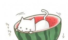 吃瓜群众图头像