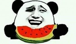 吃瓜群众 游戏怎么玩,揭秘游戏世界的趣味玩法