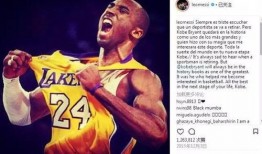 吃瓜群众致敬科比,吃瓜群众共缅科比