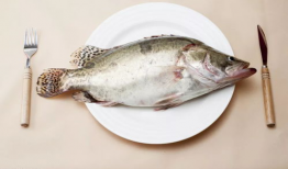 八瓜鱼 吃视频,探寻海洋美味之旅