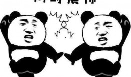 当了一天的吃瓜群众,揭秘娱乐圈幕后风云