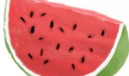 吃瓜群众爱吃瓜皮,揭秘吃瓜群众的独特喜好