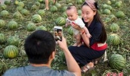 陇西吃瓜群众,揭秘当地独特饮食文化