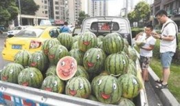 吃瓜群众啃着西瓜,吃瓜群众啃瓜乐翻天