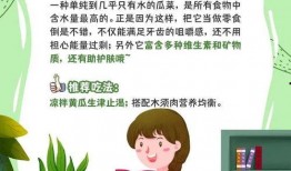 爱学习的吃瓜群众,揭秘学习与娱乐的完美融合