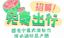 什么叫真情实感吃瓜群众,吃瓜群众视角下的娱乐圈风云